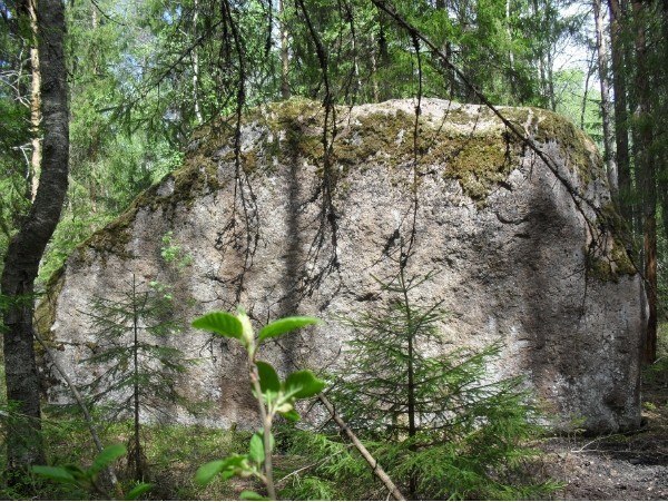 Камень 19. Камень Велеса в Волосовском районе. Бесов камень Волосовский район. Велесов камень Ленинградская область. Камень Велеса Клопицы.