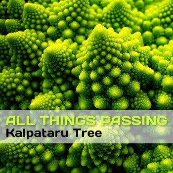 All Things Passing