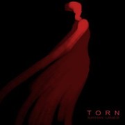 Torn - Nathan Lanier